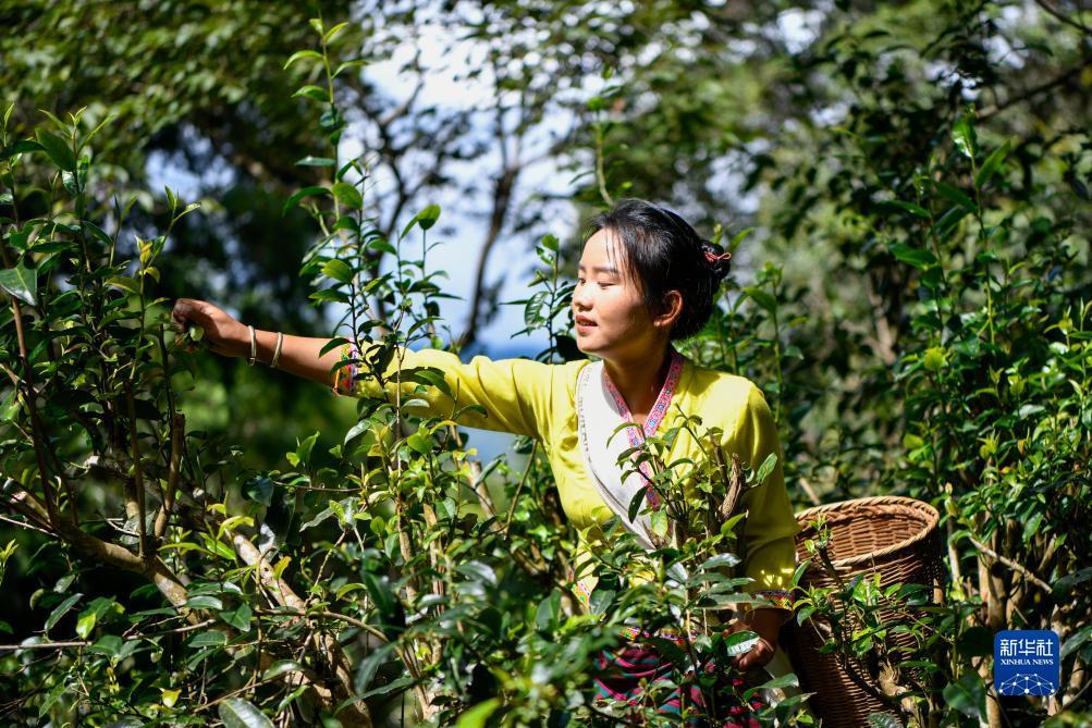 破解老虎机苹果机程序